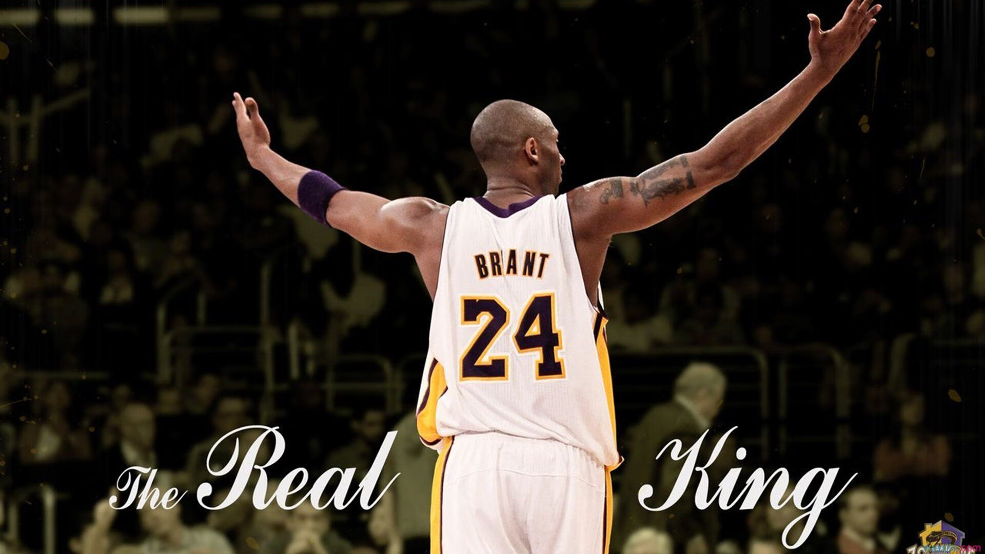 米兰体育app下载-篮球赛事转播技术创新应用，篮球赛事转播技术创新应用案例